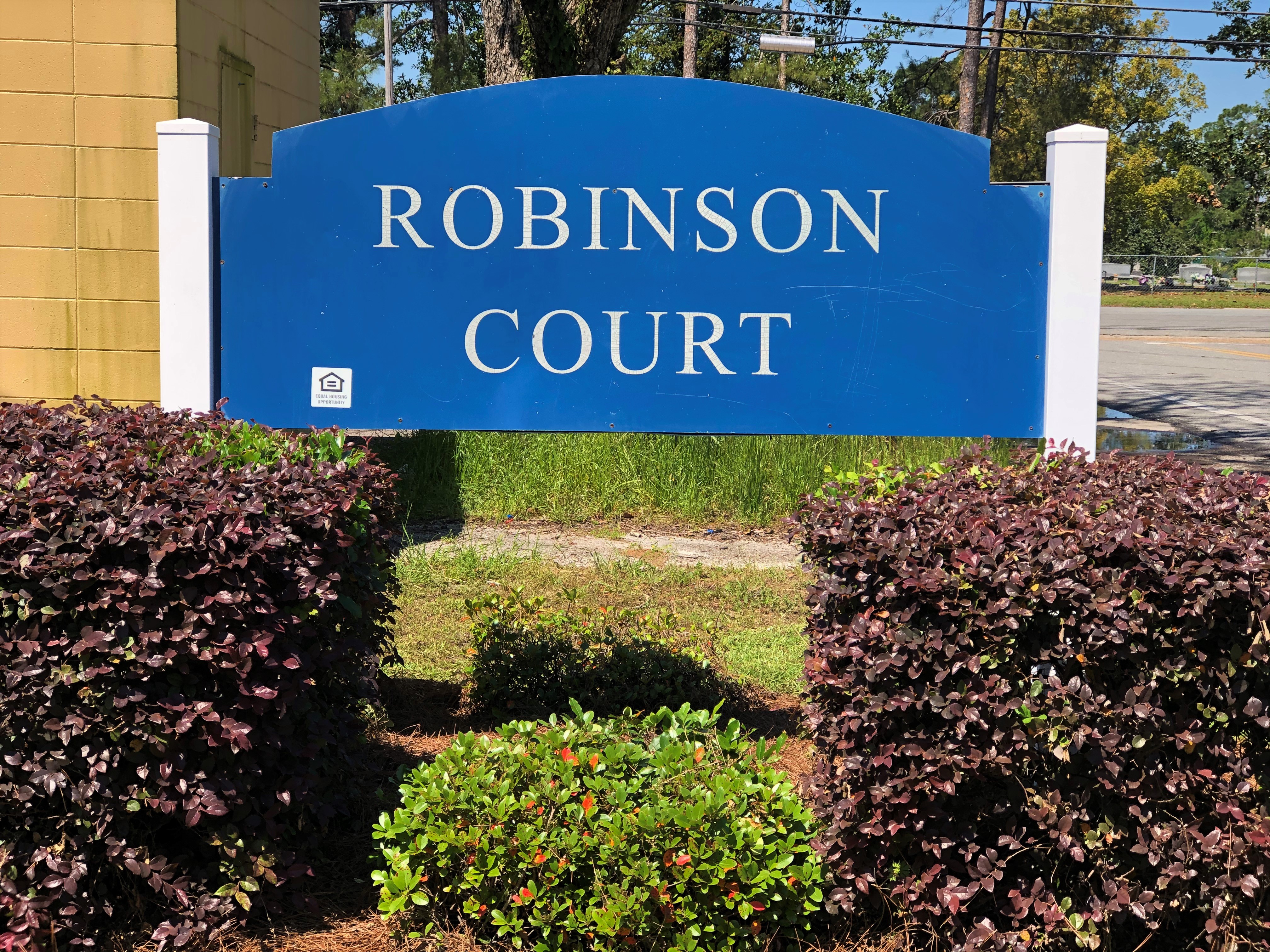 Robinson Sign Image